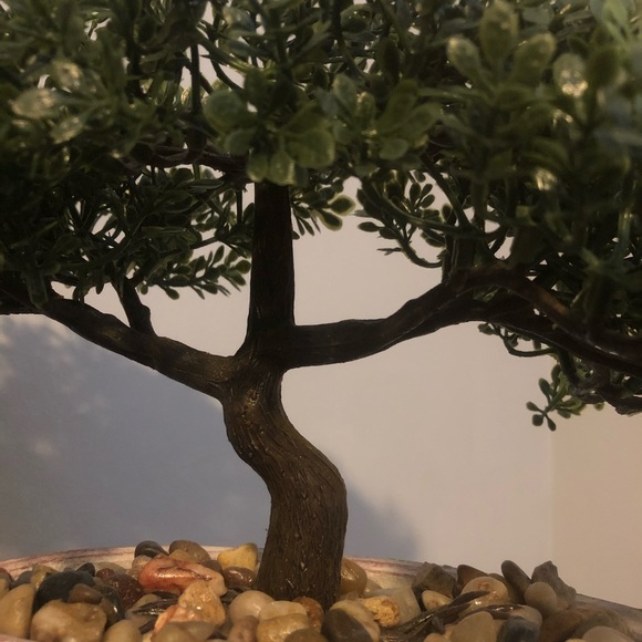 Meet your Posher, Reece - Picture 1 of 1